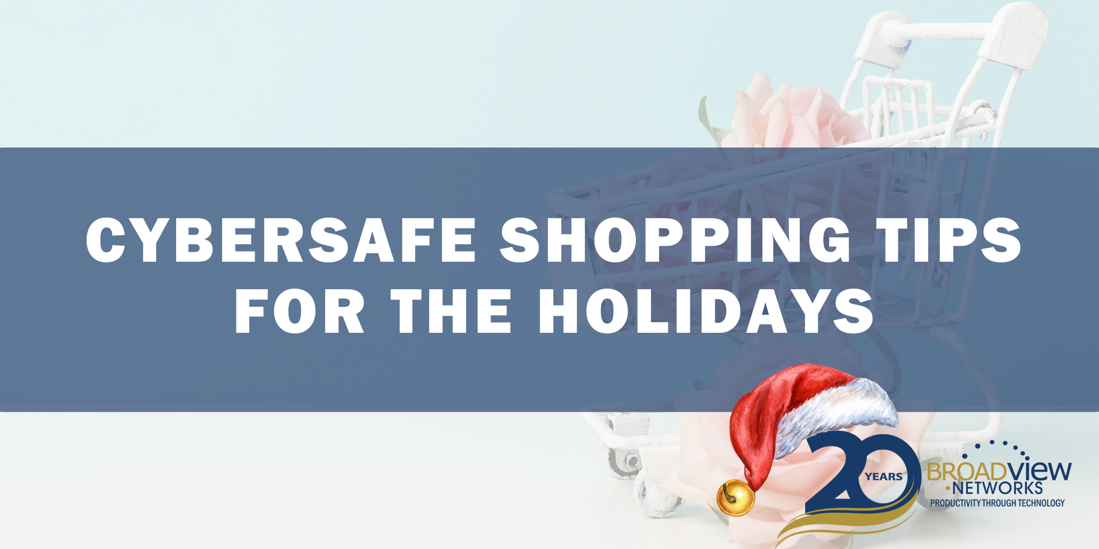 Cybersafe Shopping Tips for the Holidays Broadview Networks